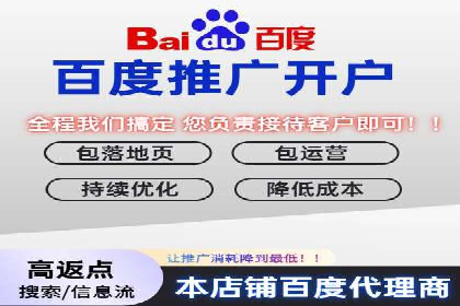 百度竞价代理的客户案例：如何实现ROI最大化